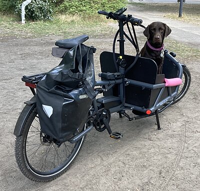 E-Bike mit Hund